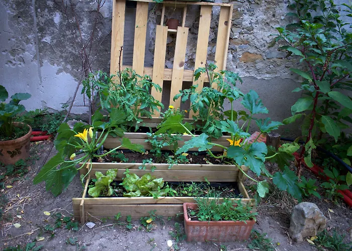 ベッド・アンド・ブレックファスト Art カルカソンヌ