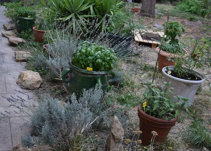 Art Panzió Carcassone