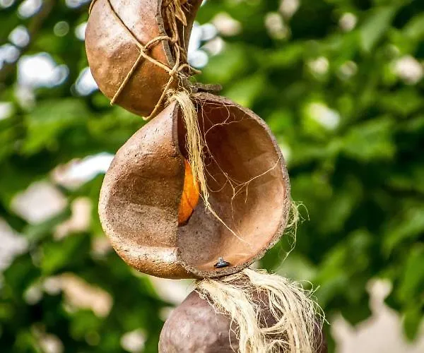 Panzió Art Carcassone